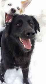 Picture for category Winter Products