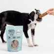 Picture of TREAT CANINE DR KELLY Lamb - 50g / 1.76oz