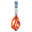 Picture of HARNESS ROGZ UTILITY STEP IN HARNESS Fanbelt Orange - Large