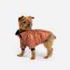 Picture of COAT CANINE PHOENIX WINTER JACKET Brown  - X Small