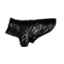 Show details for COAT CANINE PHOENIX WINTER JACKET Black  - X Small Picture of COAT CANINE PHOENIX WINTER JACKET Black  - X Small