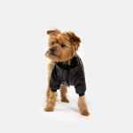 Picture of COAT CANINE PHOENIX WINTER JACKET Black  - X Small