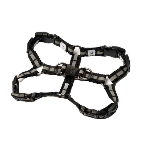 Picture of HARNESS SILVER PAW MAXIMUS Black - X Small