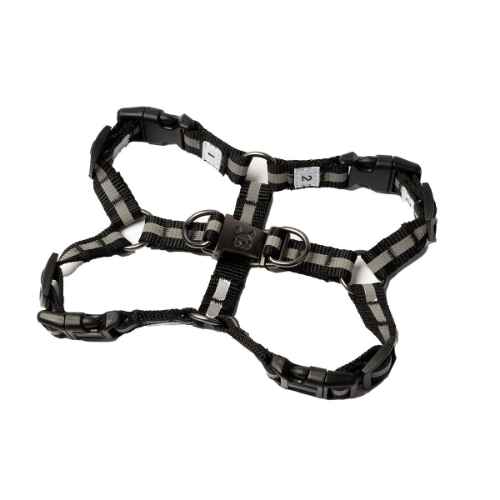 Picture of HARNESS CANINE SILVER PAW MAXIMUS Black - Small