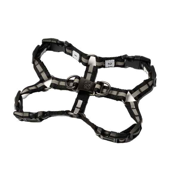 Picture of HARNESS SILVER PAW MAXIMUS Black - X Large