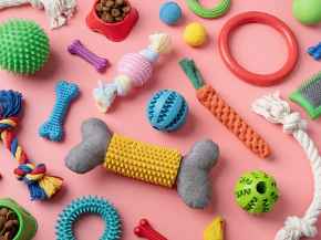 Picture for category Toys