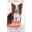 Show details for CANINE SCIENCE DIET ADULT PERFECT DIGESTION SALMON - 3.5lb Picture of CANINE SCIENCE DIET ADULT PERFECT DIGESTION SALMON - 3.5lb