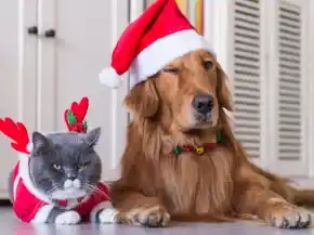 Picture for category Holiday Products