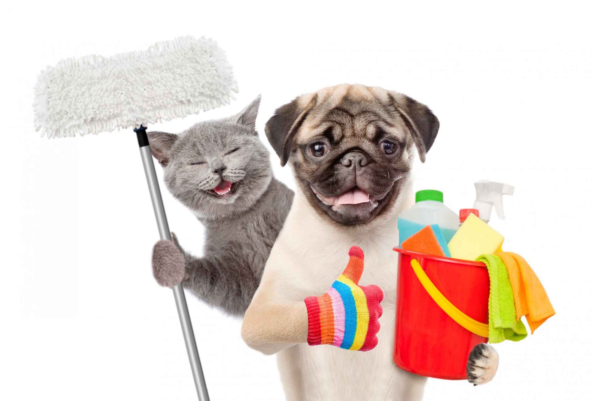 Picture for category Cleaning & Household Supplies