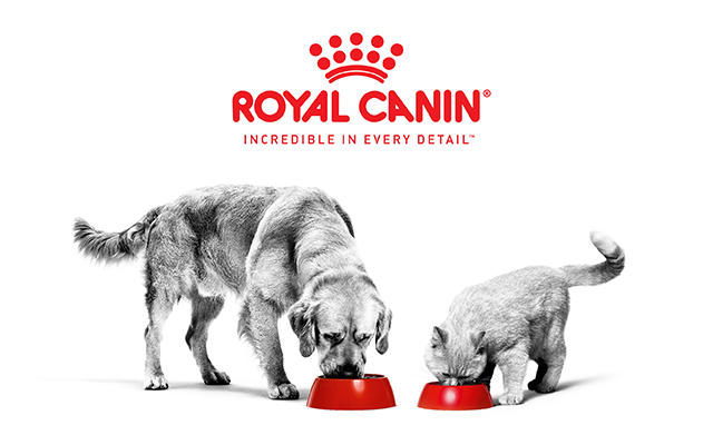 Picture for category Royal Canin Veterinary Diets