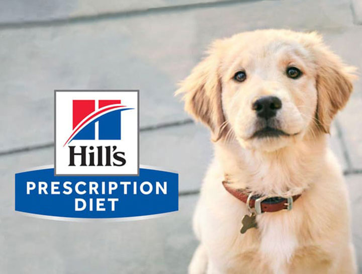 Picture for category Hill's Veterinary Diets