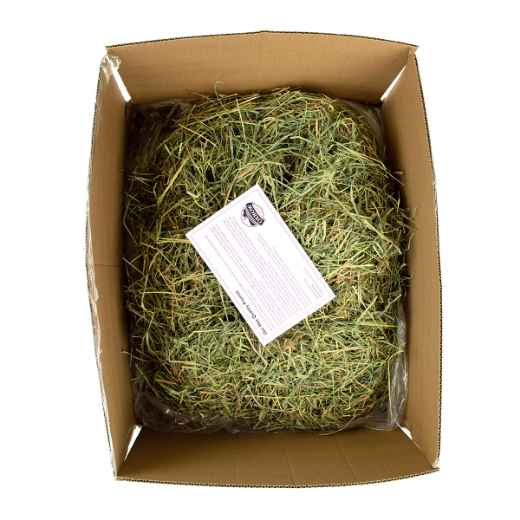 Picture of OXBOW ORCHARD GRASS HAY - 50lb/22.68kg