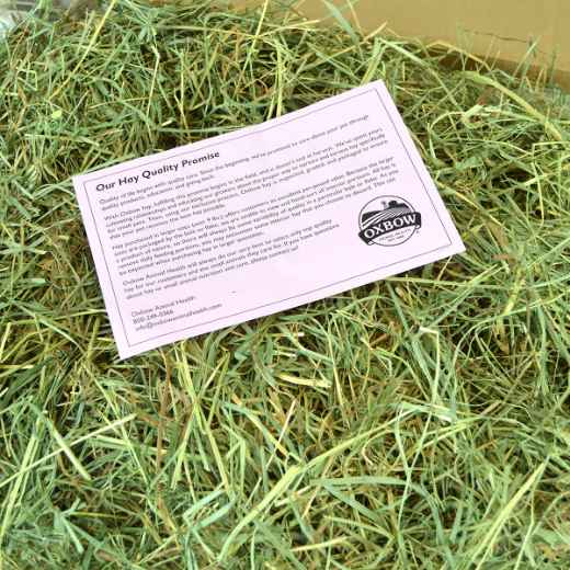 Picture of OXBOW ORCHARD GRASS HAY - 50lb/22.68kg