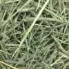 Picture of OXBOW WESTERN TIMOTHY HAY - 50lb/22.68kg