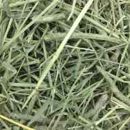 Picture of OXBOW WESTERN TIMOTHY HAY - 50lb/22.68kg