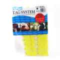 Picture of ALLFLEX TAG SHEEP MINI BLANK Yellow - 20/bag