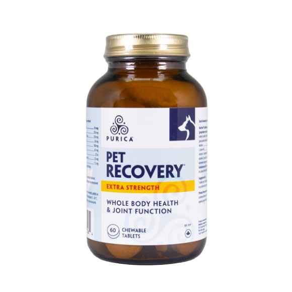 Picture of RECOVERY  XSTRENGTH CHEWABLE TABS - 60's