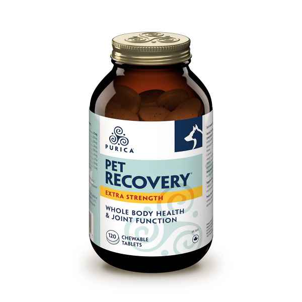 Picture of RECOVERY  XSTRENGTH CHEWABLE TABS - 120's