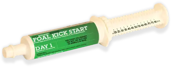 Picture of Foal Kick Start Paste - PICK UP IN CLINIC ONLY