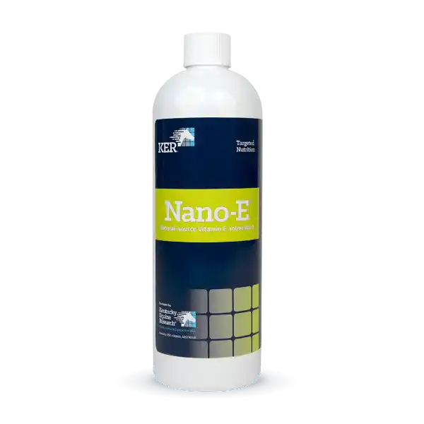 Picture of NANO-E (Vitamin E) 450ml - PICK UP IN CLINIC ONLY