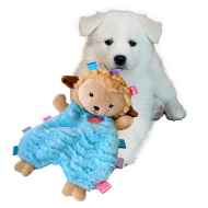 Picture of TOY DOG SOOTHERS TABBIE LAMBIE Assorted Colors - 8in