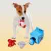 Picture of TOY DOG WASH DAY PLUSH PUZZLE TOY - 6in
