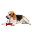 Picture of TOY DOG STICK STYLE TREAT HOLDER - 6in