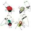 Picture of TOY CAT BUZZING INSECT A-DOORABLE Assorted Characters - 5in