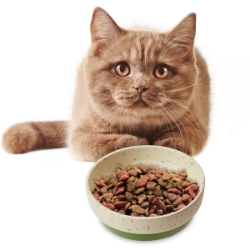 Picture of Bowl Stoneware Cat Sedona Dish Spruce Green - 5in