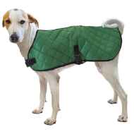 Picture of COAT CANINE QUILTED BLANKET Hunter Green - X Small