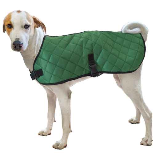 Picture of COAT CANINE QUILTED BLANKET Hunter Green - Large