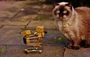 Picture for category Pet Supplies