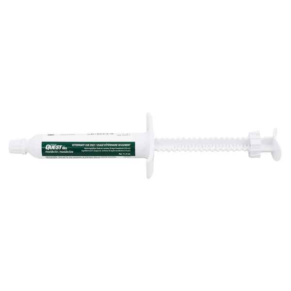 Picture of Quest Gel Dewormer Paste - Per Tube - PICK UP IN CLINIC ONLY