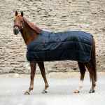 Picture of BACK ON TRACK EQUINE RHYOLITE INSULATED LINER 200gm - 84in