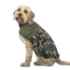 Picture of COAT CANINE WOODLAND WALKIES Forest Green - X Small