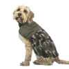 Picture of COAT CANINE WOODLAND WALKIES Forest Green - Small
