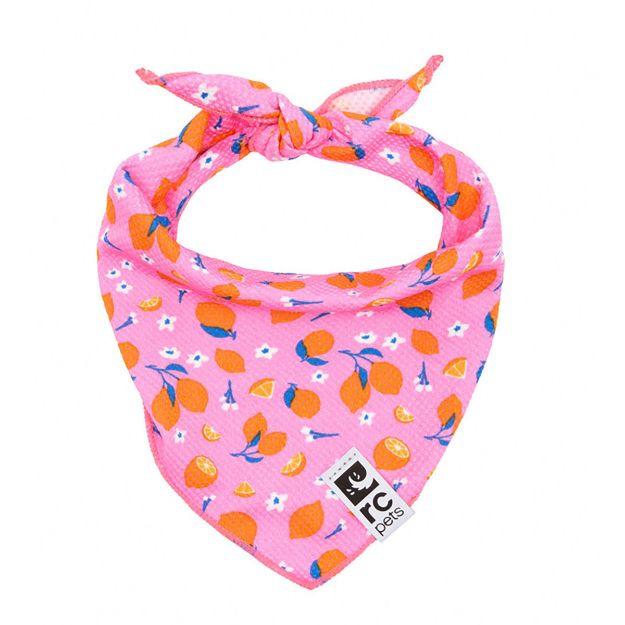 Picture of CANINE ZEPHYR COOLING BANDANA Pink Zesty - Small/Medium