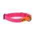 Picture of COLLAR RC WATERPROOF Adjustable Azalea/Orange - 3/4in x 9-13in