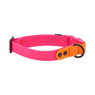 Picture of COLLAR CANINE RC WATERPROOF Adjustable Azalea/Orange - 1in x 12-20in