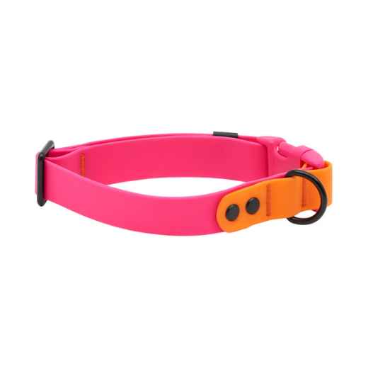 Picture of COLLAR CANINE RC WATERPROOF Adjustable Azalea/Orange - 1in x 12-20in