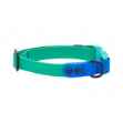 Picture of COLLAR CANINE RC WATERPROOF Adjustable Parakeet/Sapphire - 1in x 12-20in