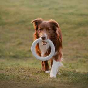 Picture for category Fun Under $15