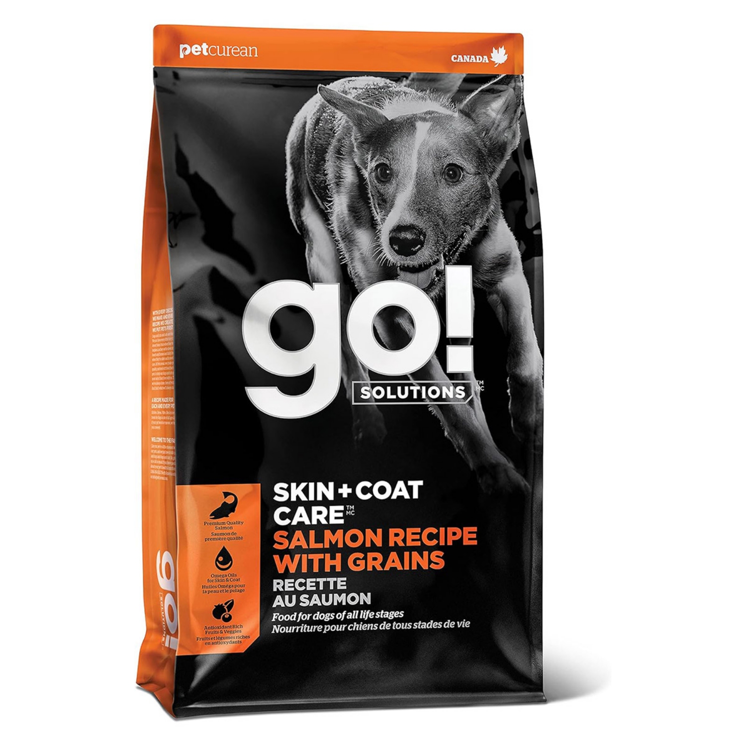 Picture of Canine Go! Skin & Coat Care Salmon Recipe With Grains - 22lb/10kg