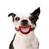 Picture of TOY DOG Paci-Chew - Smile
