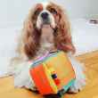 Picture of TOY DOG Hide'n Seek Cube - 4.5in