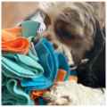 Picture of TOY DOG Hide'n Seek Snuffle Ball Blue - 4in