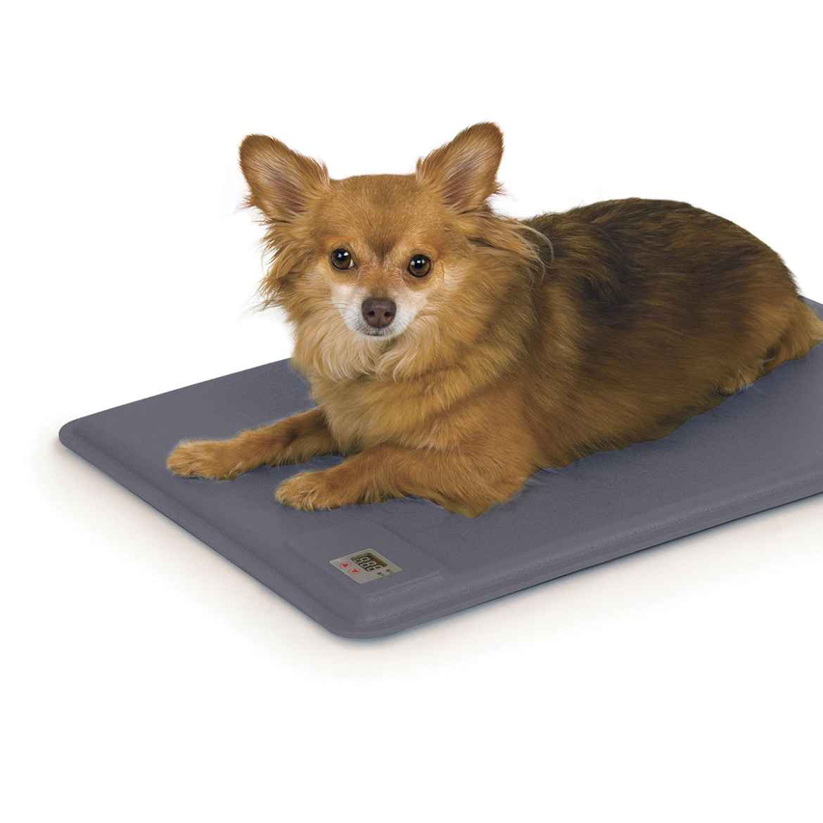 Picture of LECTRO KENNEL MAT 40 watt GEN II Small(J0916M)- 12.5in x 18.5in