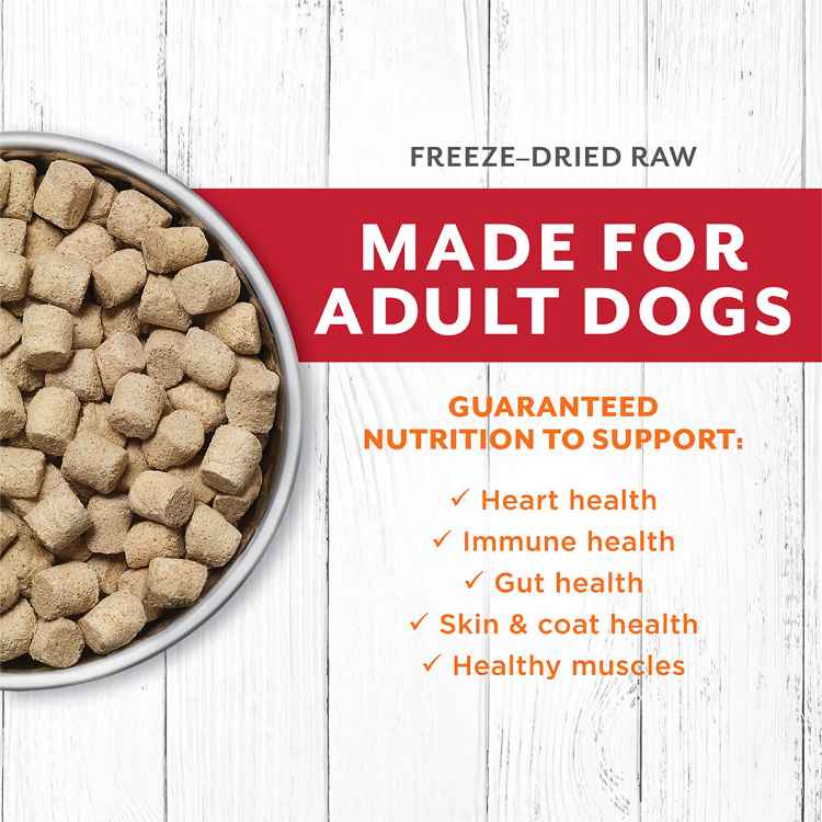 Picture of CANINE INSTINCT DOG RAW LONGEVITY FREEZE DRIED ADULT DOGS Beef - 16oz