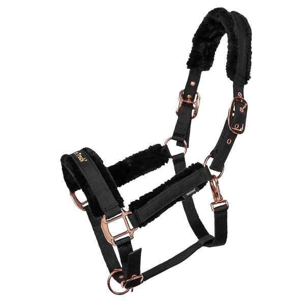 Picture of BACK ON TRACK EQUINE HAZE HALTER BLACK ROSE GOLD - Cob Size