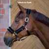 Picture of BACK ON TRACK EQUINE HAZE HALTER BLACK ROSE GOLD - Cob Size